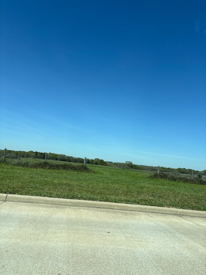 walking near me in Student Park in spring