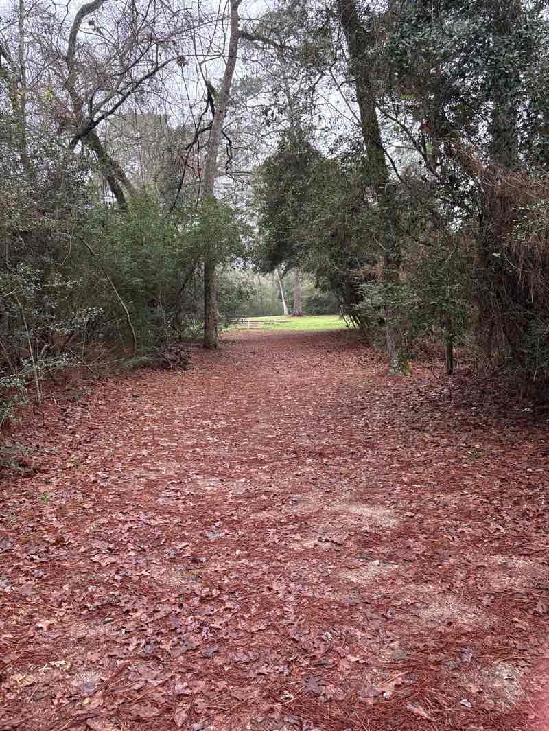 walking near me in Camp Allen in spring