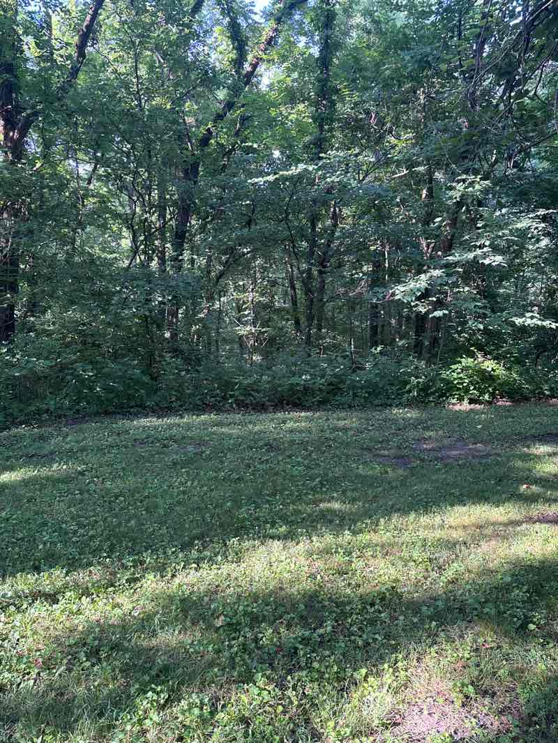 walking near me in Fort Daniel Conservation Area in summer