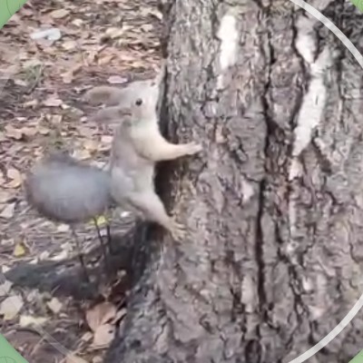 ФАНТЭЛЬ Наталья Гребницкая post image