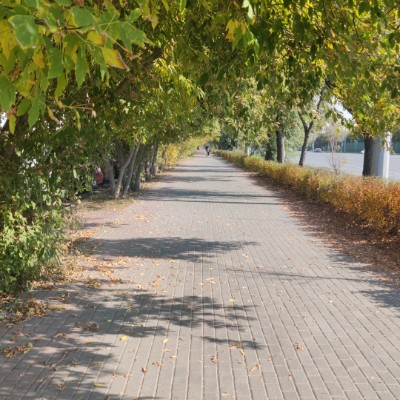 ФАНТЭЛЬ Наталья Гребницкая post image