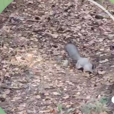 ФАНТЭЛЬ Наталья Гребницкая post image