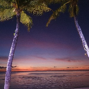 행정과 손완영 profile