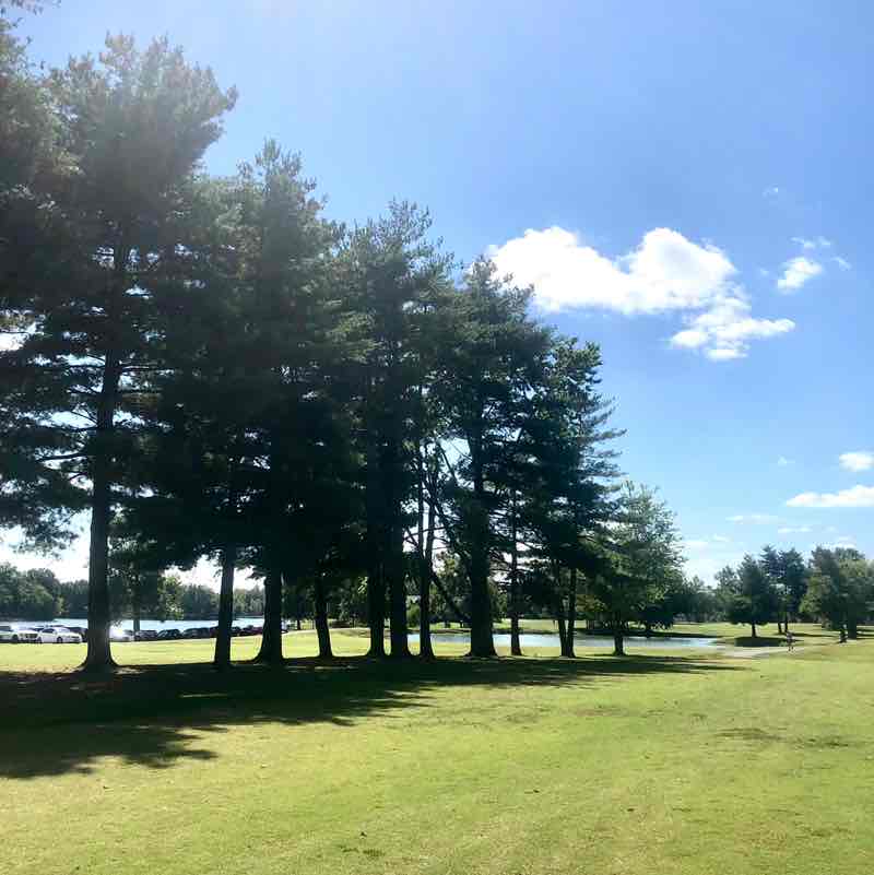 Courtney Andrew post 1