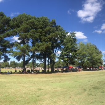 Courtney Andrew post 2