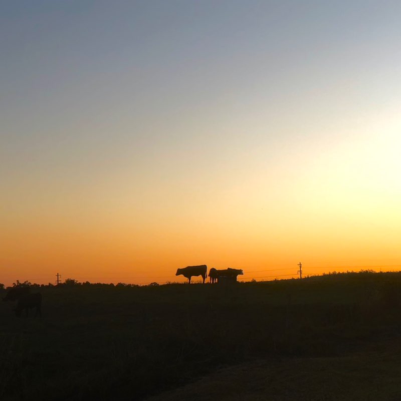 Courtney Andrew post 2