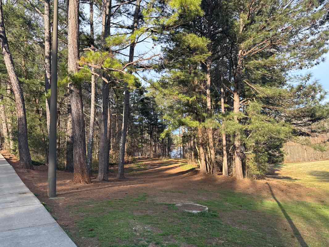 walking near me in Collins Hill Park in spring