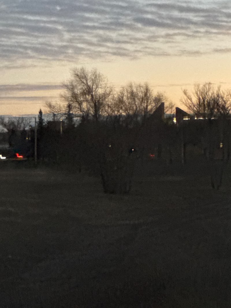 walking near me in A.E. Wilson Park East in autumn