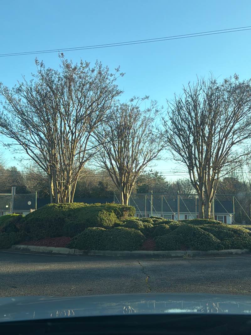 walking near me in Hardin Road Park in spring