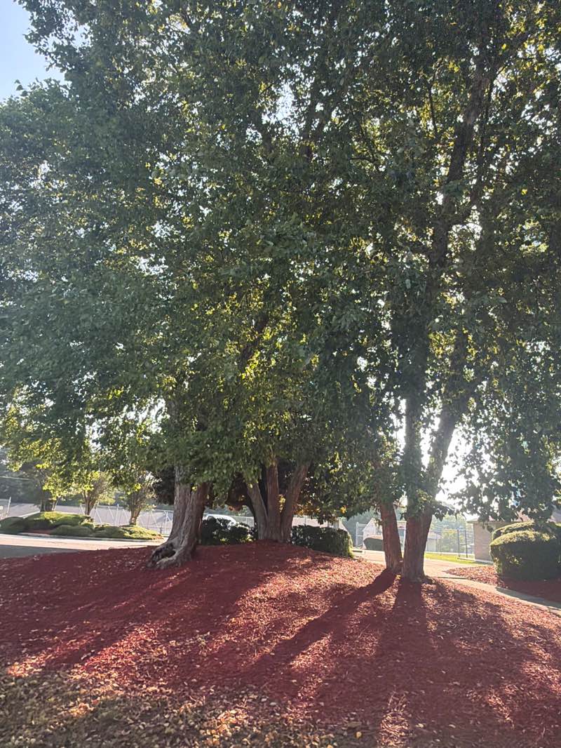 walking near me in Hardin Road Park in summer