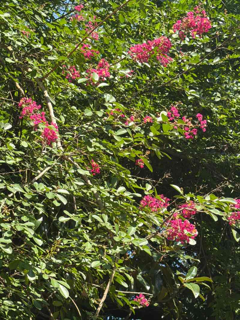 walking near me in Yadkin River Park in summer
