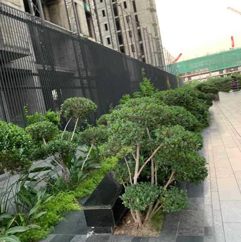 Sanjeev Yadav post 1