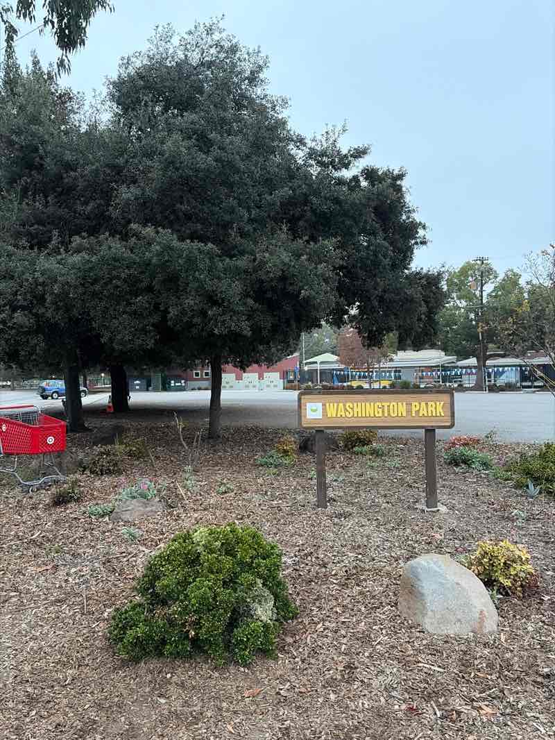 walking near me in Washington Park in autumn
