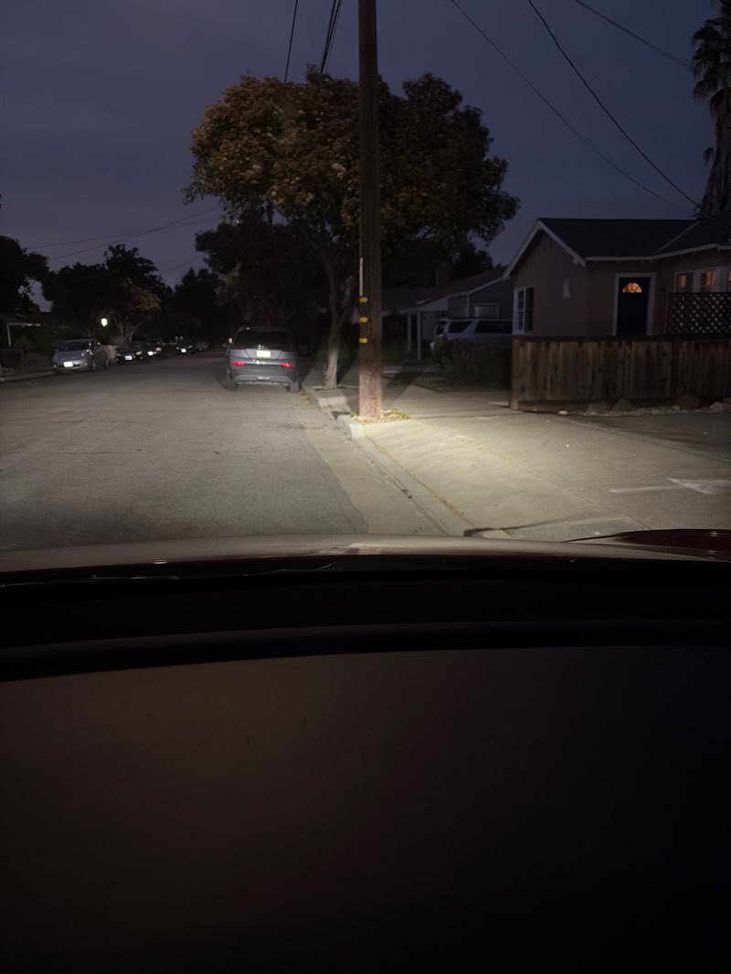 walking near me in Murphy Park in spring