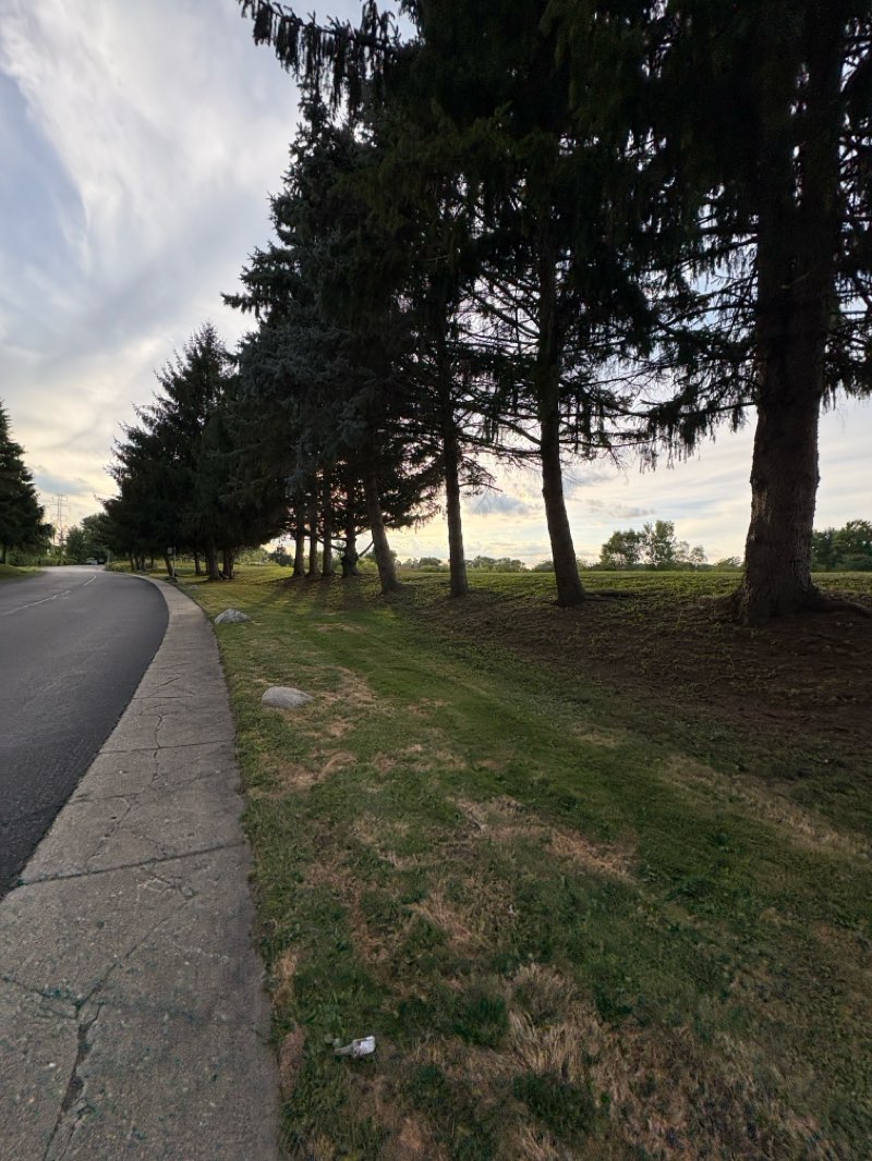 walking near me in Michigan Airl Line Trail in autumn