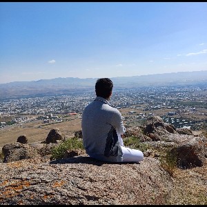 saeid salajeghe icon