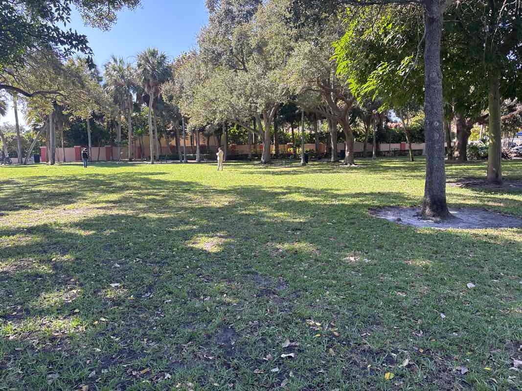 walking near me in Colee Hammock Park in winter