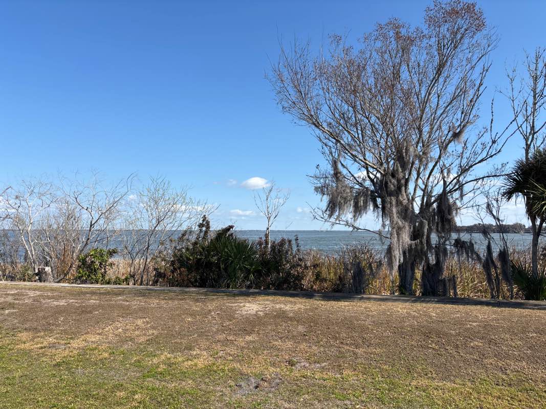 walking near me in Tavares Recreation Park in winter