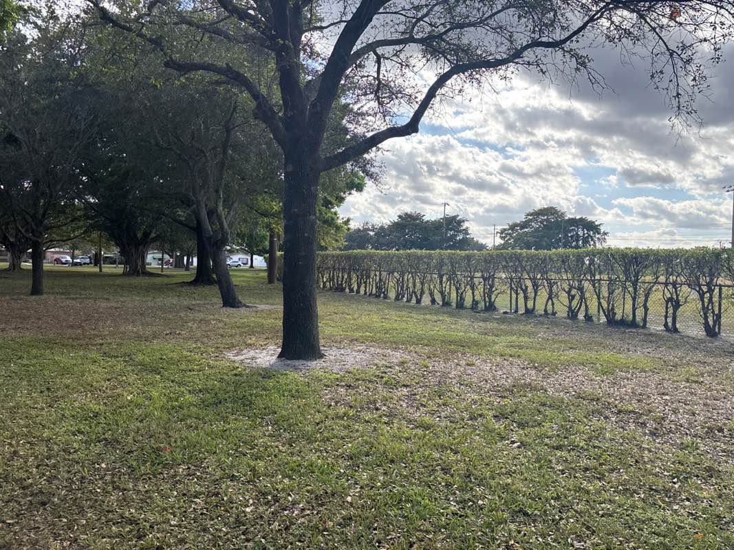walking near me in Oriole Park in winter