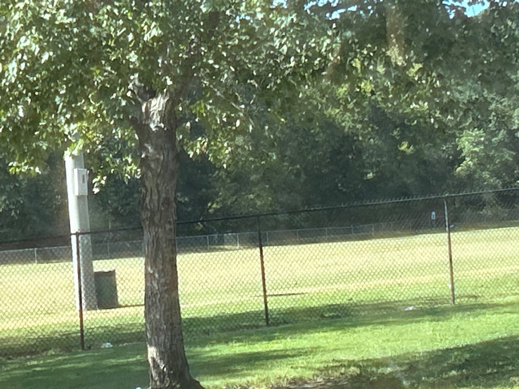 walking near me in Tramore Park in autumn