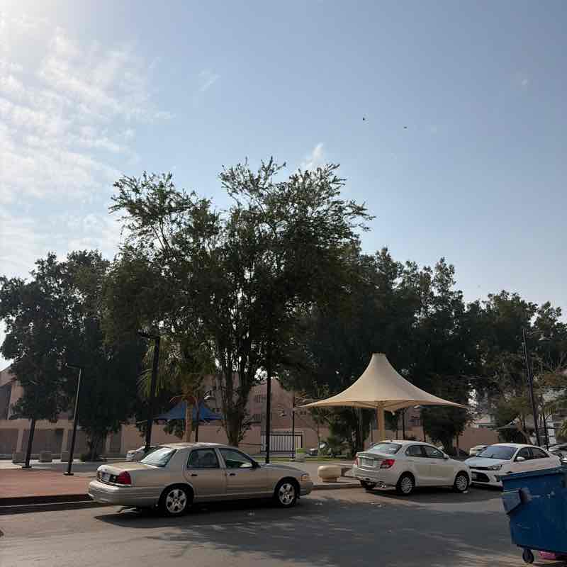 Nida Raheel Dangra post 1