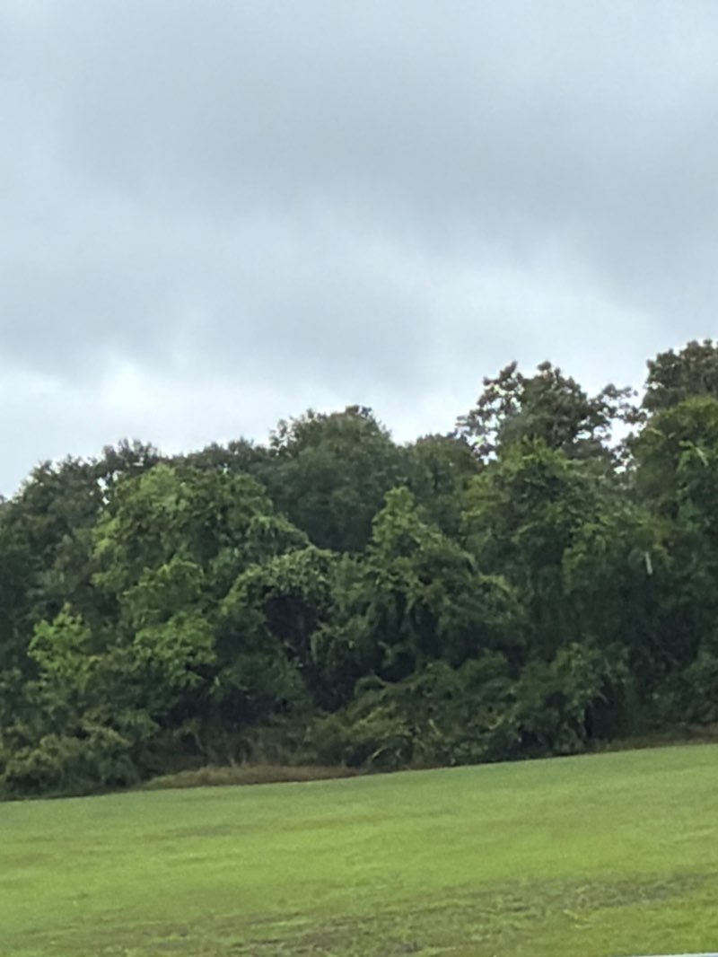 walking near me in Allison R Peirce Jr Wetlands - Nature Sanctuary in spring