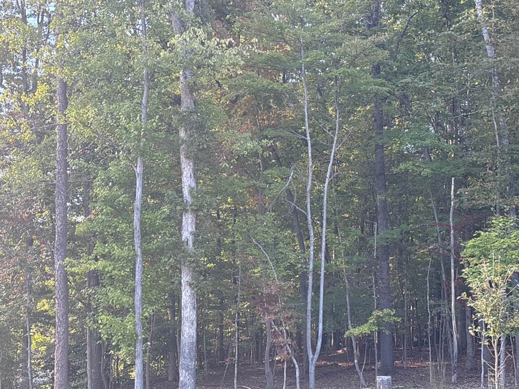 walking near me in Country Park in autumn