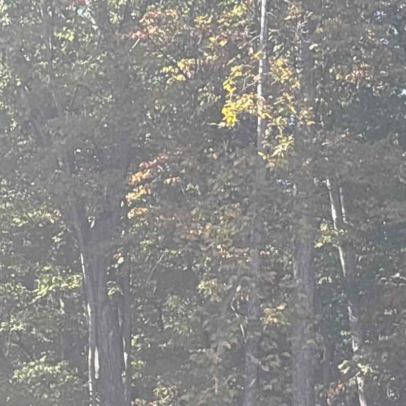 Teresa Johnson post 1