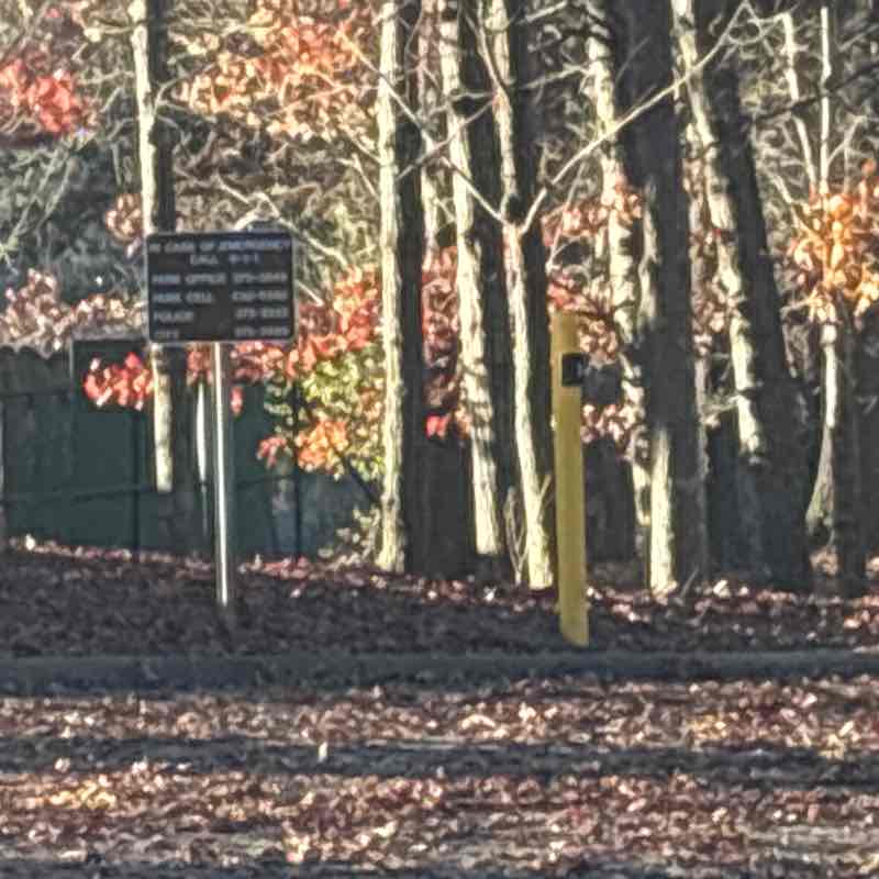 Teresa Johnson post 2