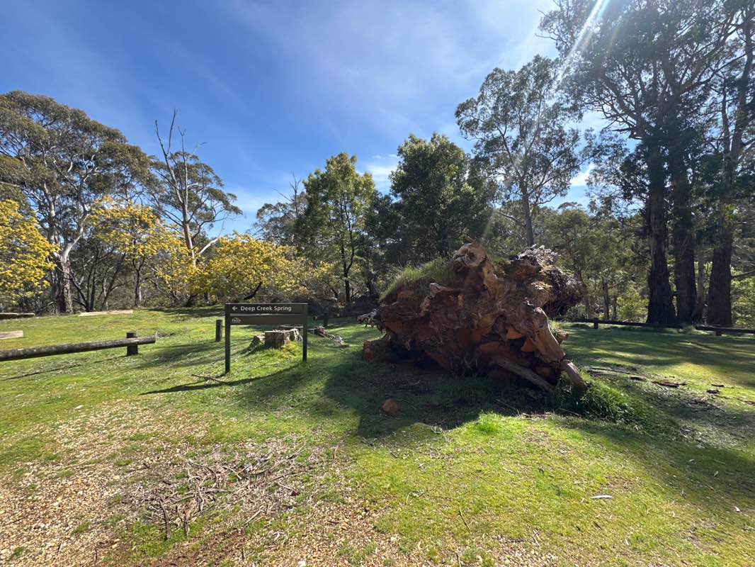 walking near me in Deep Creek, Eganstown Streamside Reserve in spring