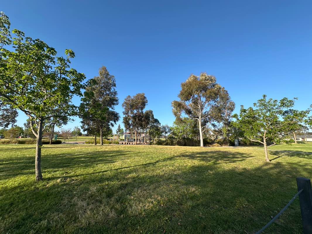 walking near me in Greenvale Gardens Reserve in spring