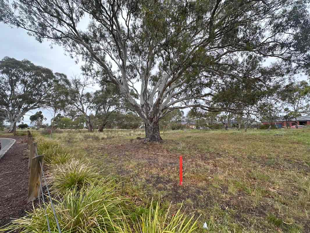 walking near me in Phoenix Park in spring