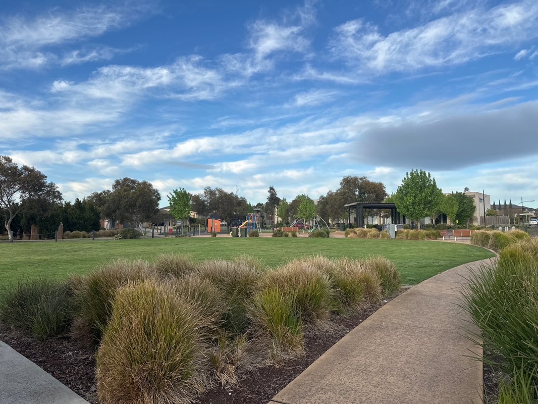 walking near me in Central Park, Trillium in spring