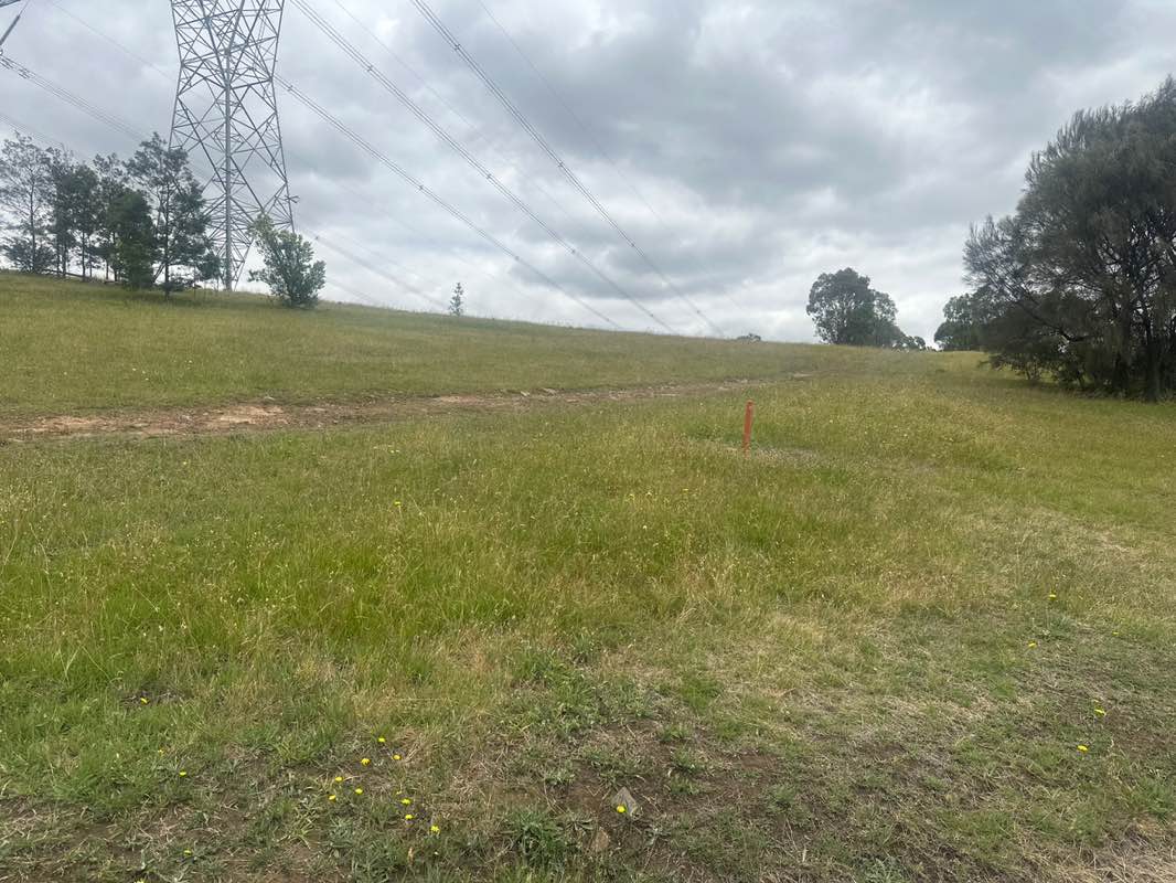 walking near me in Quarry Hills Bushland Park in summer