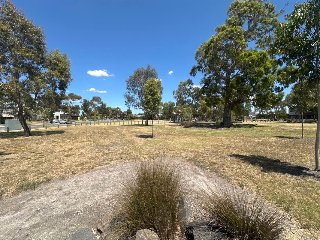 walking near me in Northside Park in summer