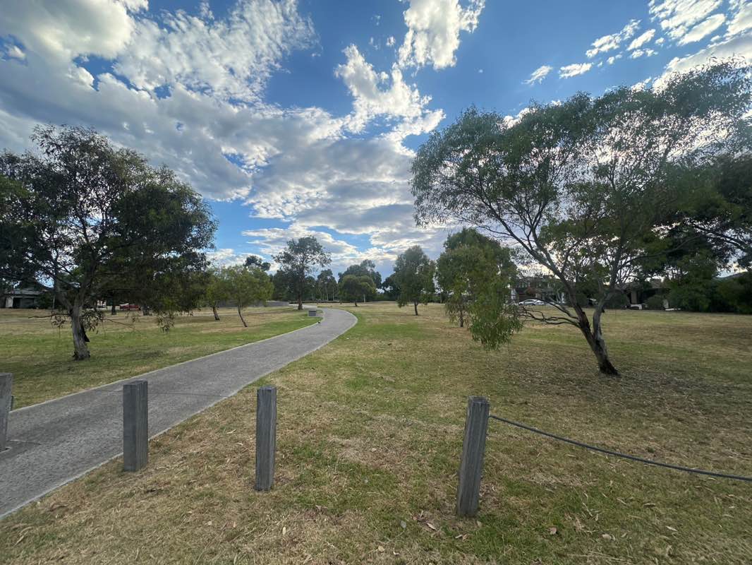 walking near me in Steadman Park in summer