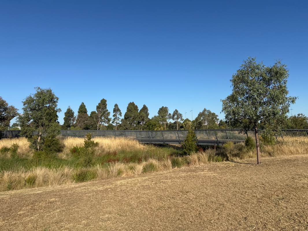 walking near me in Aurora Adventure Park in summer