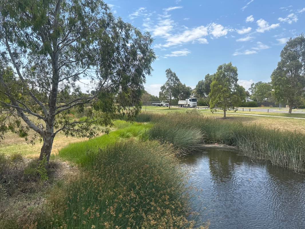 walking near me in Eucalypt Wetlands in summer
