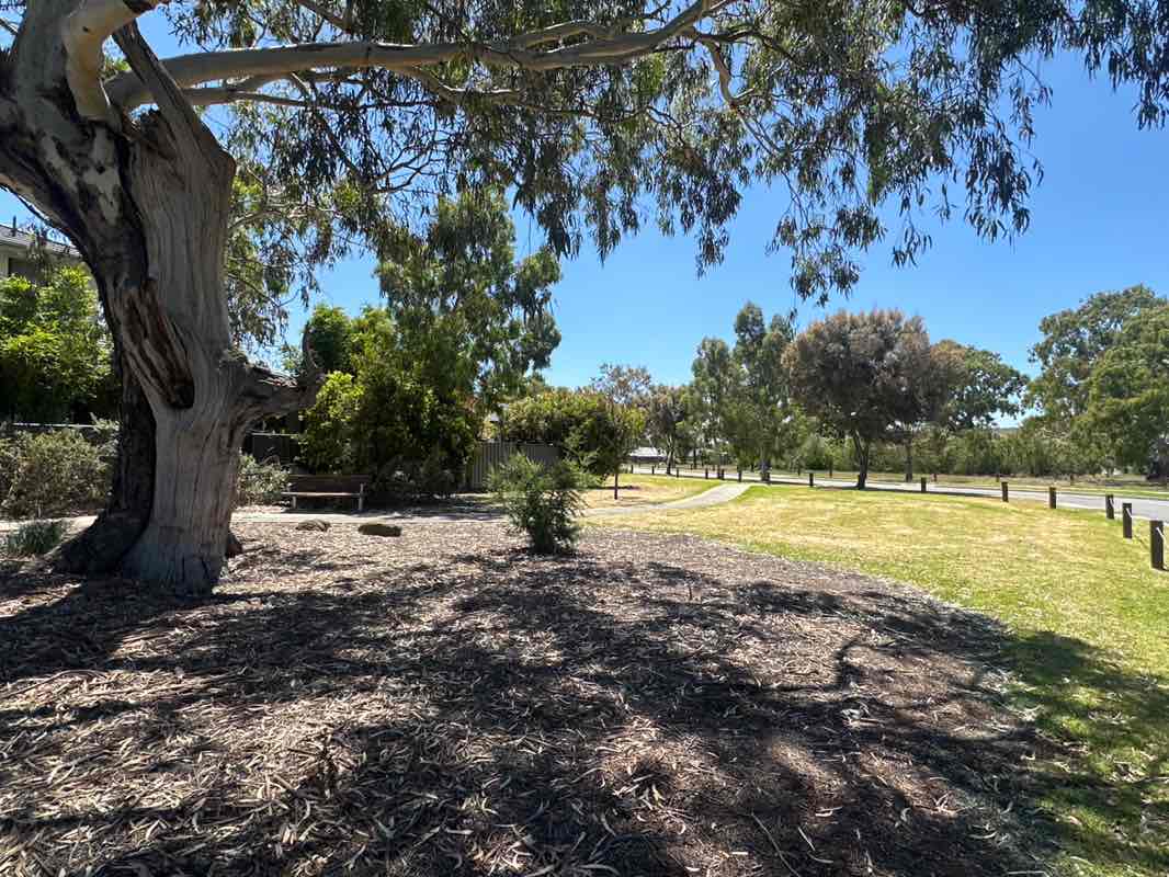 walking near me in Allendale Park in summer