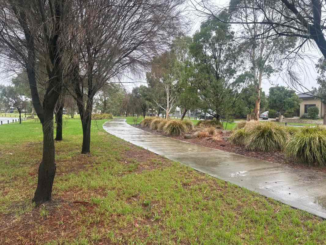 walking near me in Bellavista Park in autumn