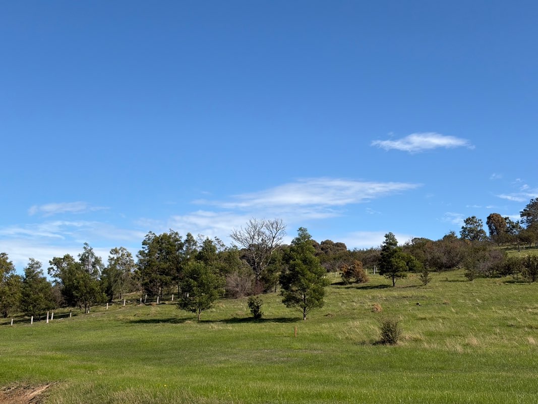 walking near me in Quarry Hills Bushland Park in autumn