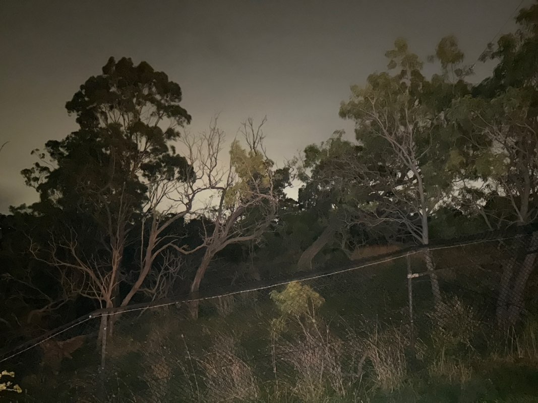 walking near me in Plenty Gorge Bushland Reserve in autumn