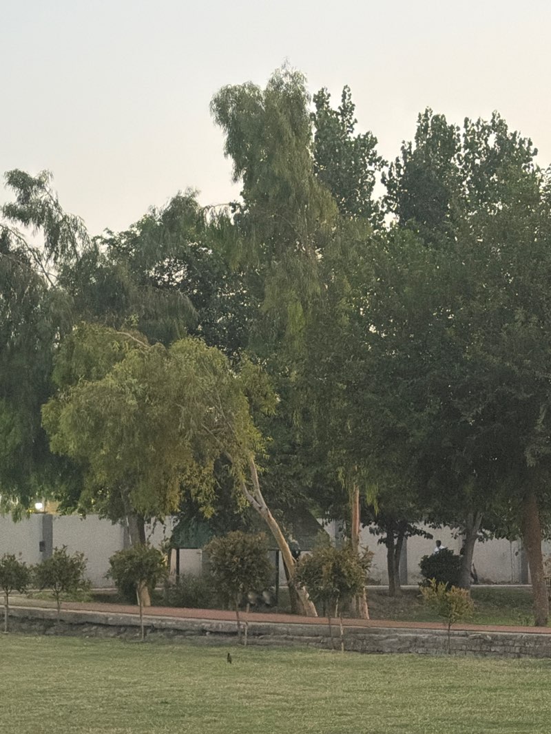 walking near me in Sher Khan Stadium in summer