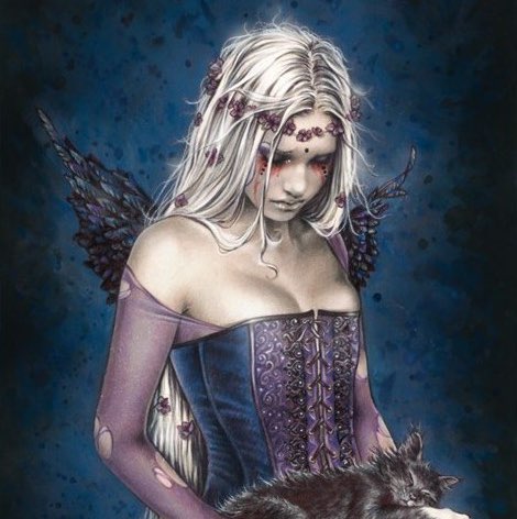 Slawek Garfild profile