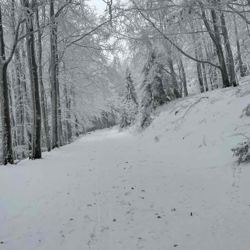 Slawek Garfild post 1