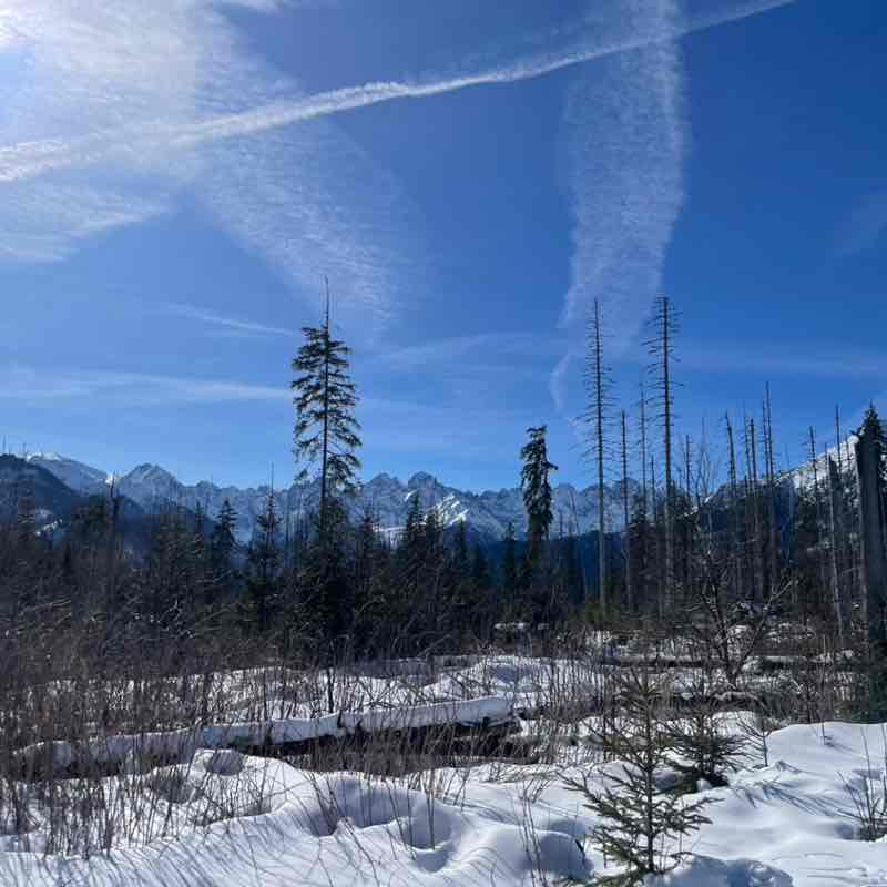 GÓRY to jest to💪 Slawek Garfild post image