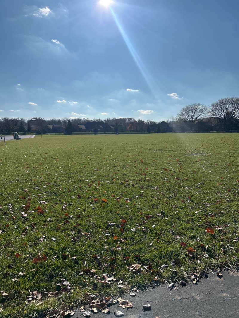 walking near me in Walker Wood Park in autumn