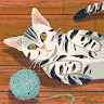 Michelle icon