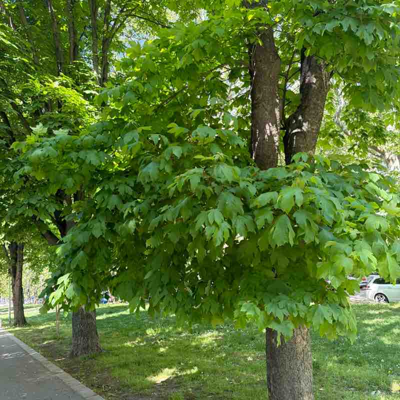 Stiliyan post 1