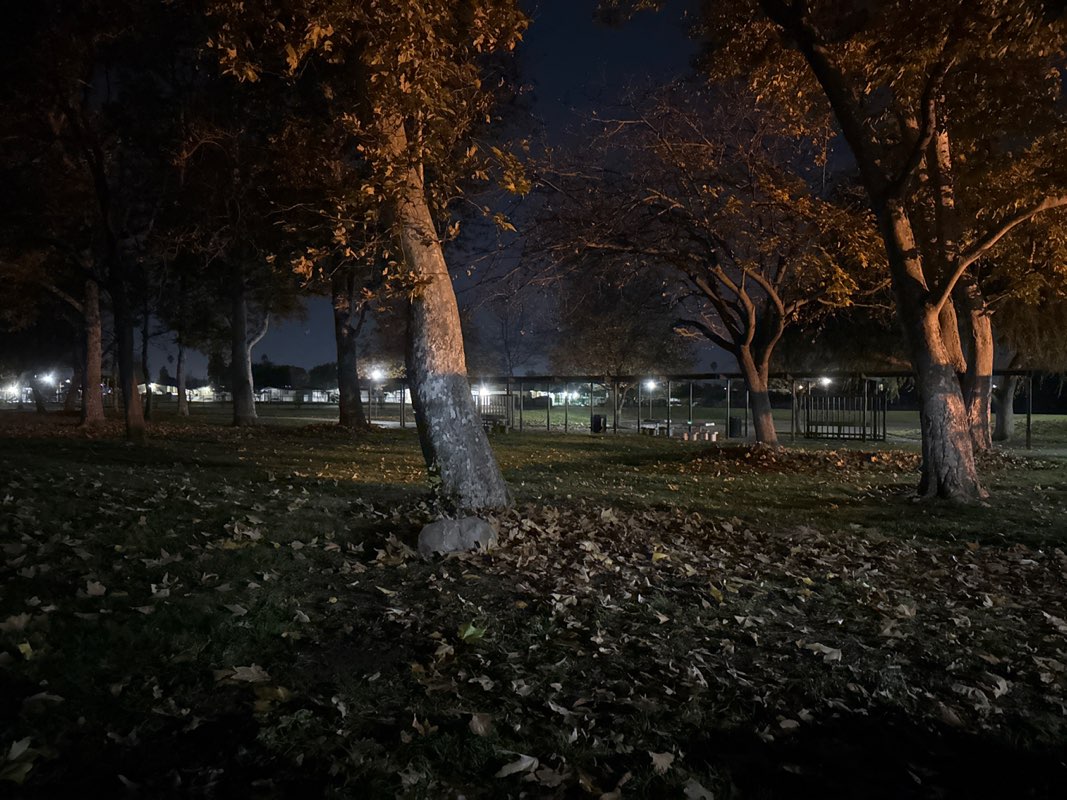 walking near me in Bowers Park in winter